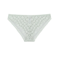 Lace Bikini Panty