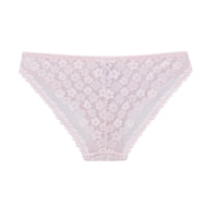 Lace Bikini Panty