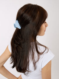 Striped Claw Clip