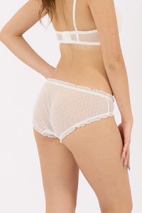 Mesh Hipster Panty