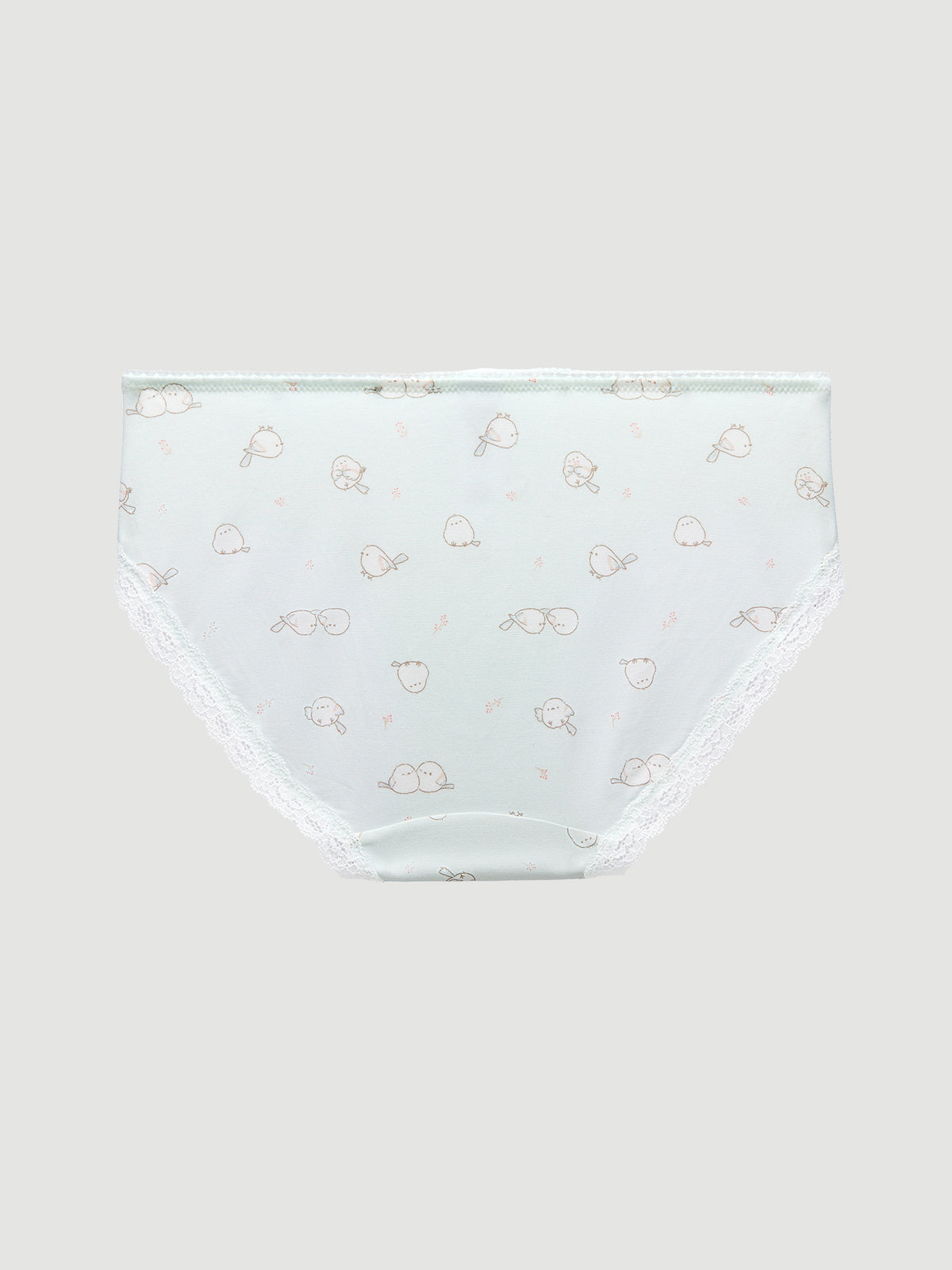 Lace Hipster Panty