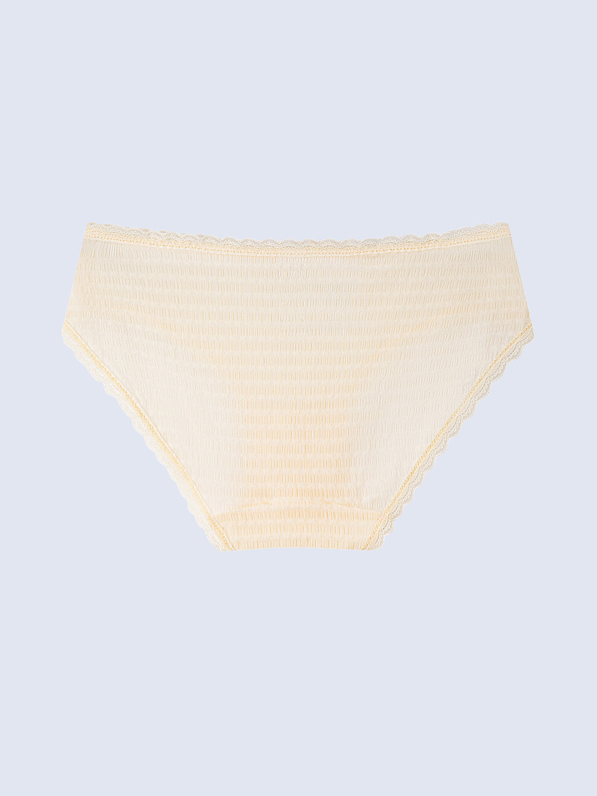 Texture Lace Hipster Panty