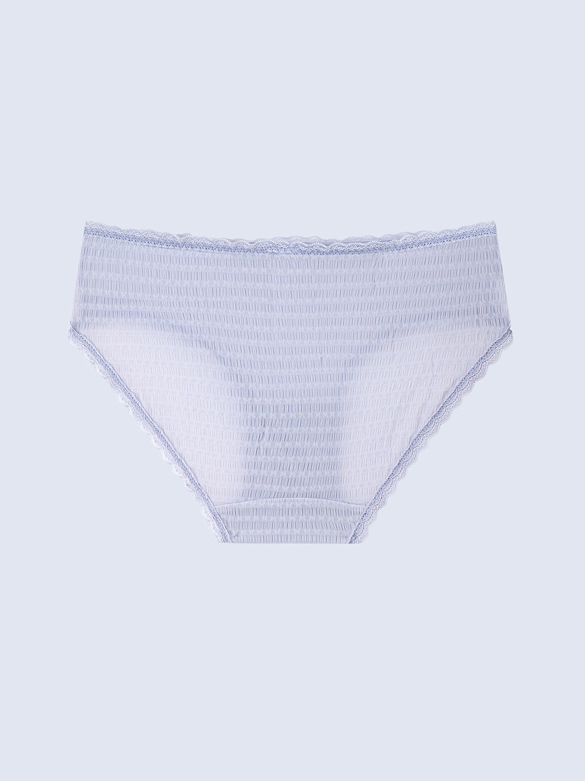 Texture Lace Hipster Panty