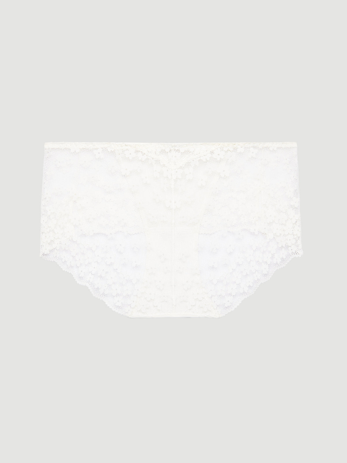 Lace Hiphugger Panty