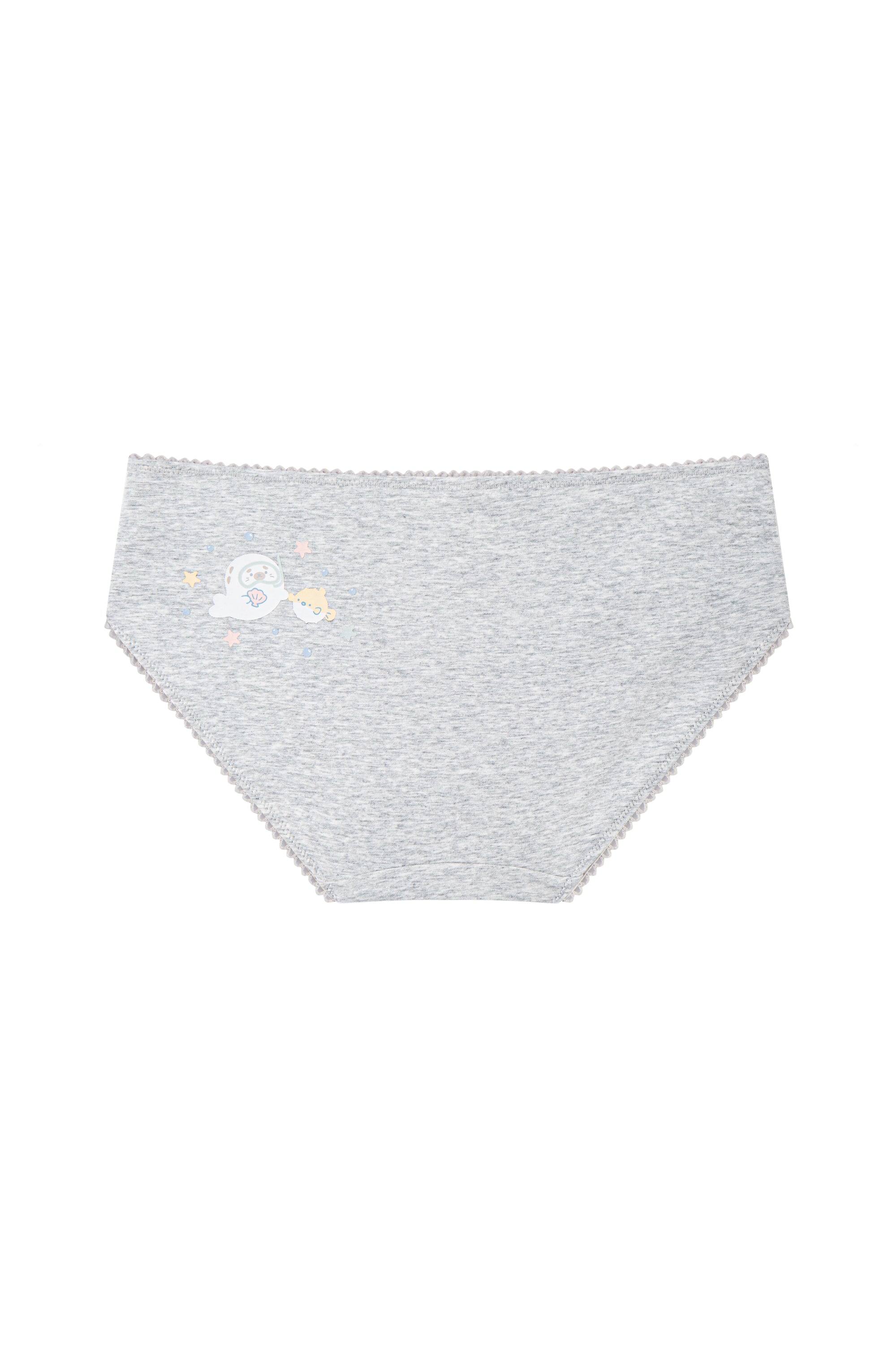 Cotton Hipster Panty