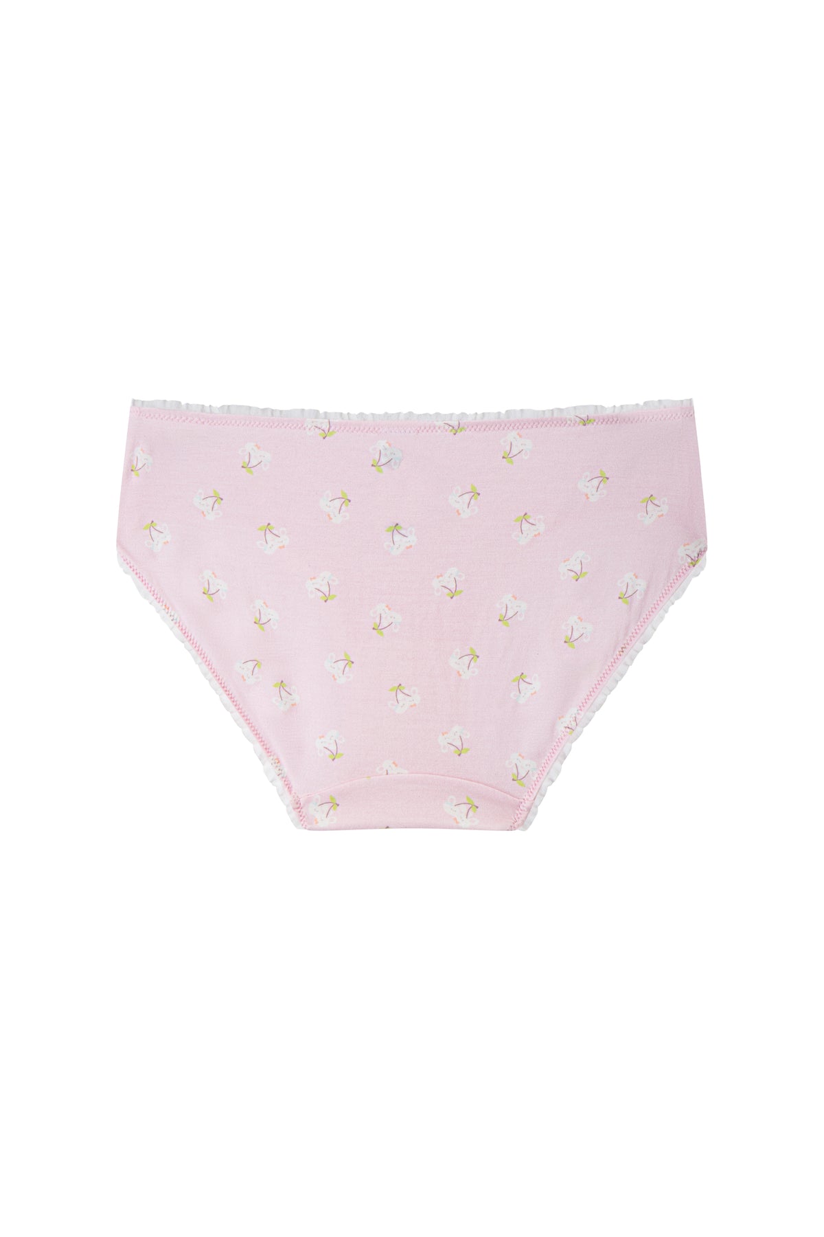 Modal Hipster Panty