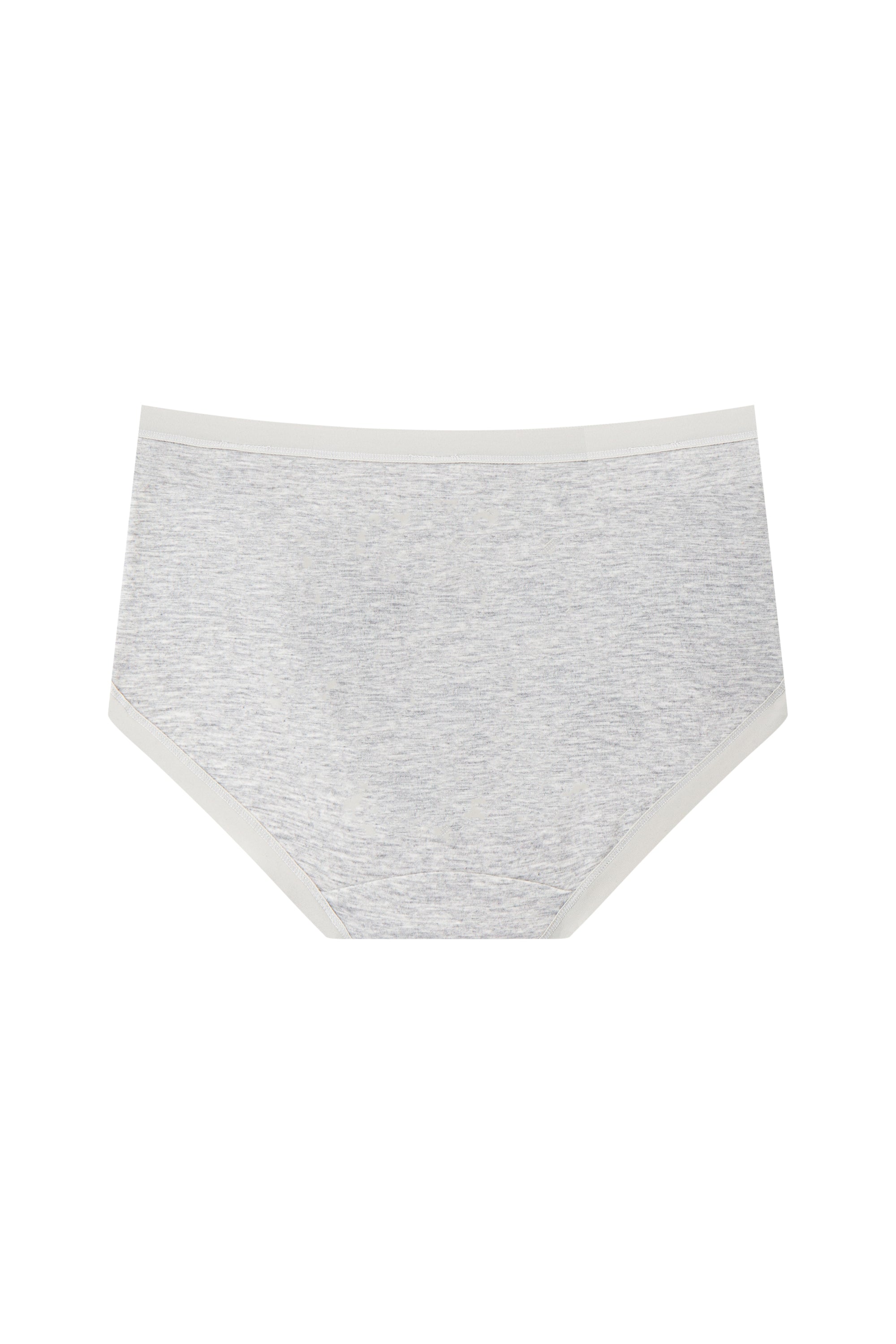 Modal Hiphugger Panty
